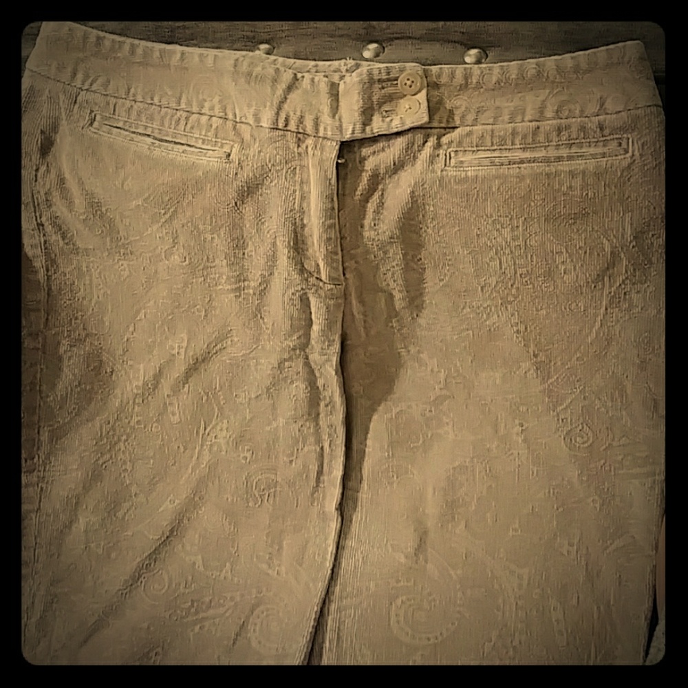 Express Mini Corduroy Vintage Look Dress Pants